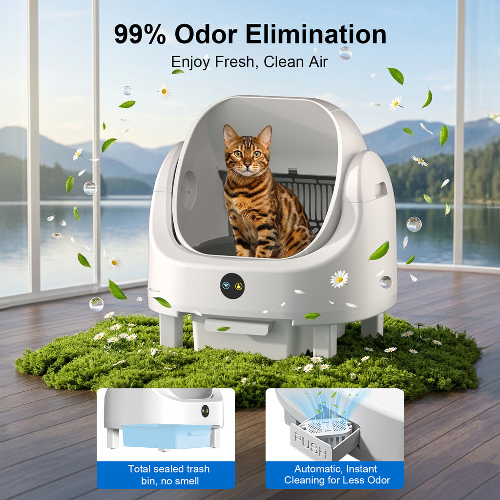 Open Top Self Cleaning Litter Box,70L Automatic Cat Litter Box Self Cleaning with APP Control,Low Noise,Safety Protection,Anti-Pinch Protection&Easy Access Step for Senior Cats,Multiple Cats(White)