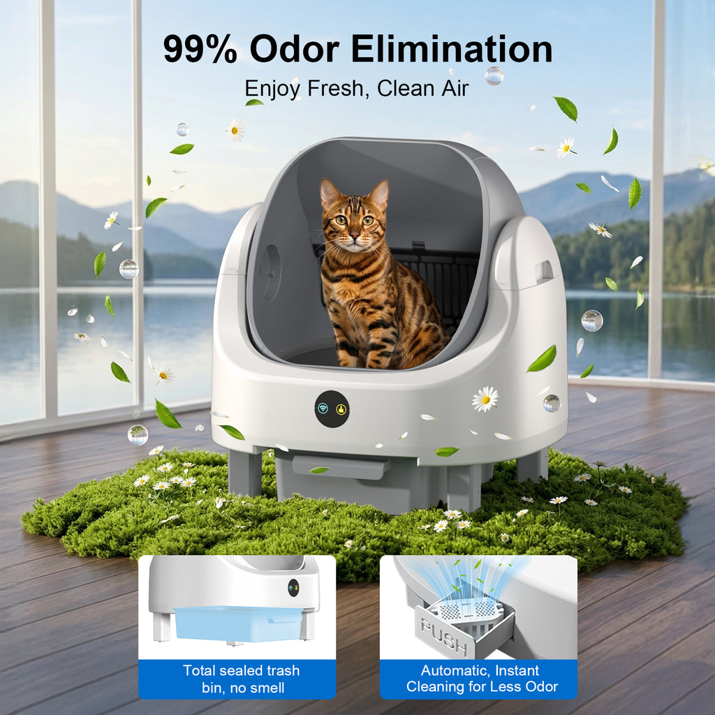 Open Top Self Cleaning Litter Box,70L Automatic Cat Litter Box Self Cleaning with APP Control,Low Noise,Safety Protection,Anti-Pinch Protection&Easy Access Step for Senior Cats,Multiple Cats(White)