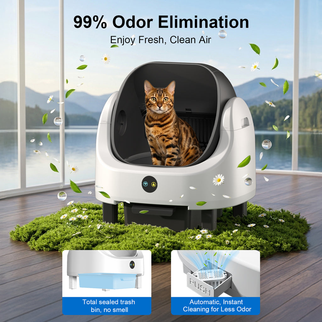 Open Top Self Cleaning Litter Box,70L Automatic Cat Litter Box Self Cleaning with APP Control,Low Noise,Safety Protection,Anti-Pinch Protection&Easy Access Step for Senior Cats,Multiple Cats(Black)