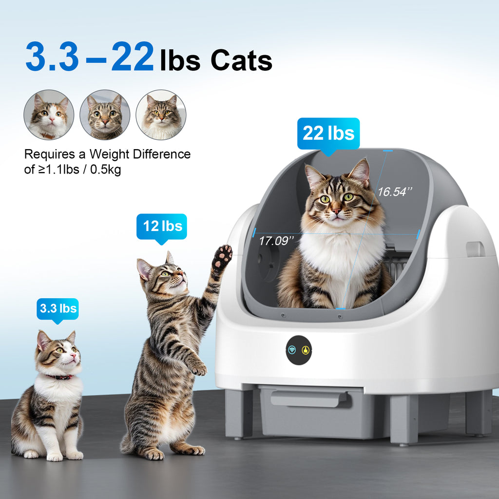 Open Top Self Cleaning Litter Box,70L Automatic Cat Litter Box Self Cleaning with APP Control,Low Noise,Safety Protection,Anti-Pinch Protection&Easy Access Step for Senior Cats,Multiple Cats(White)