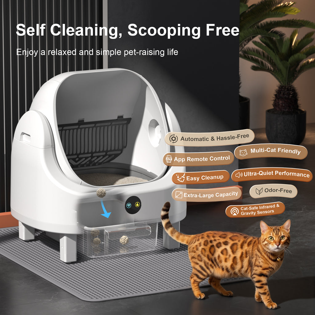 Open Top Self Cleaning Litter Box,70L Automatic Cat Litter Box Self Cleaning with APP Control,Low Noise,Safety Protection,Anti-Pinch Protection&Easy Access Step for Senior Cats,Multiple Cats(White)