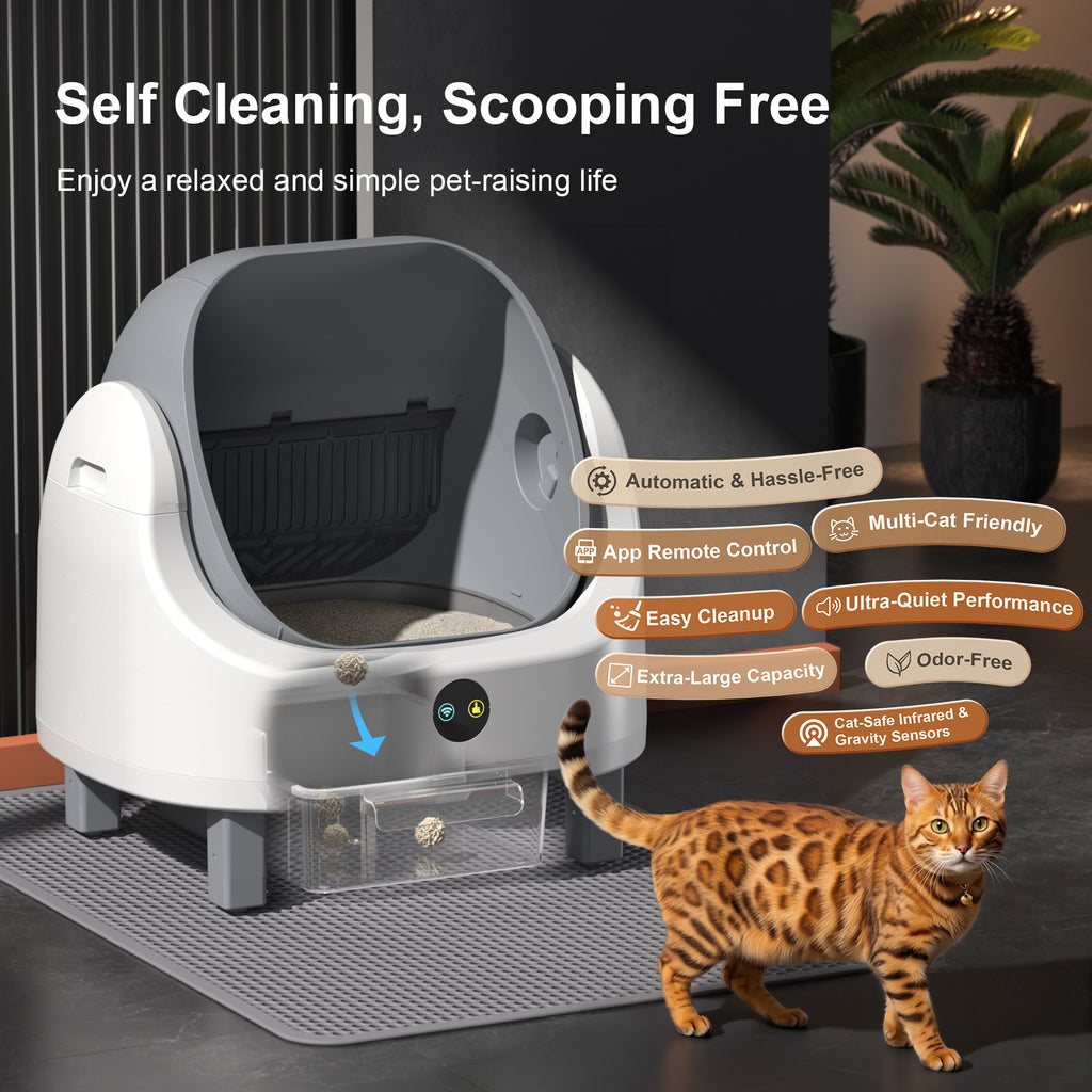 Open Top Self Cleaning Litter Box,70L Automatic Cat Litter Box Self Cleaning with APP Control,Low Noise,Safety Protection,Anti-Pinch Protection&Easy Access Step for Senior Cats,Multiple Cats(White)